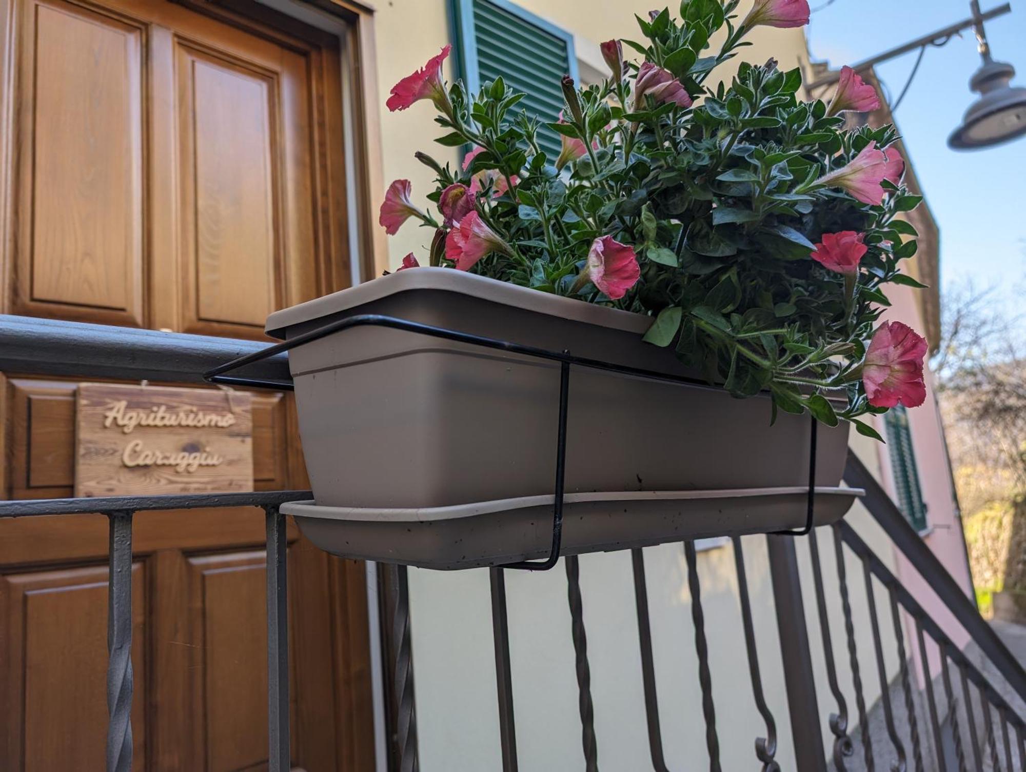 Agriturismo Caruggiu Di Via Vecchia اوركو فيغلينو المظهر الخارجي الصورة