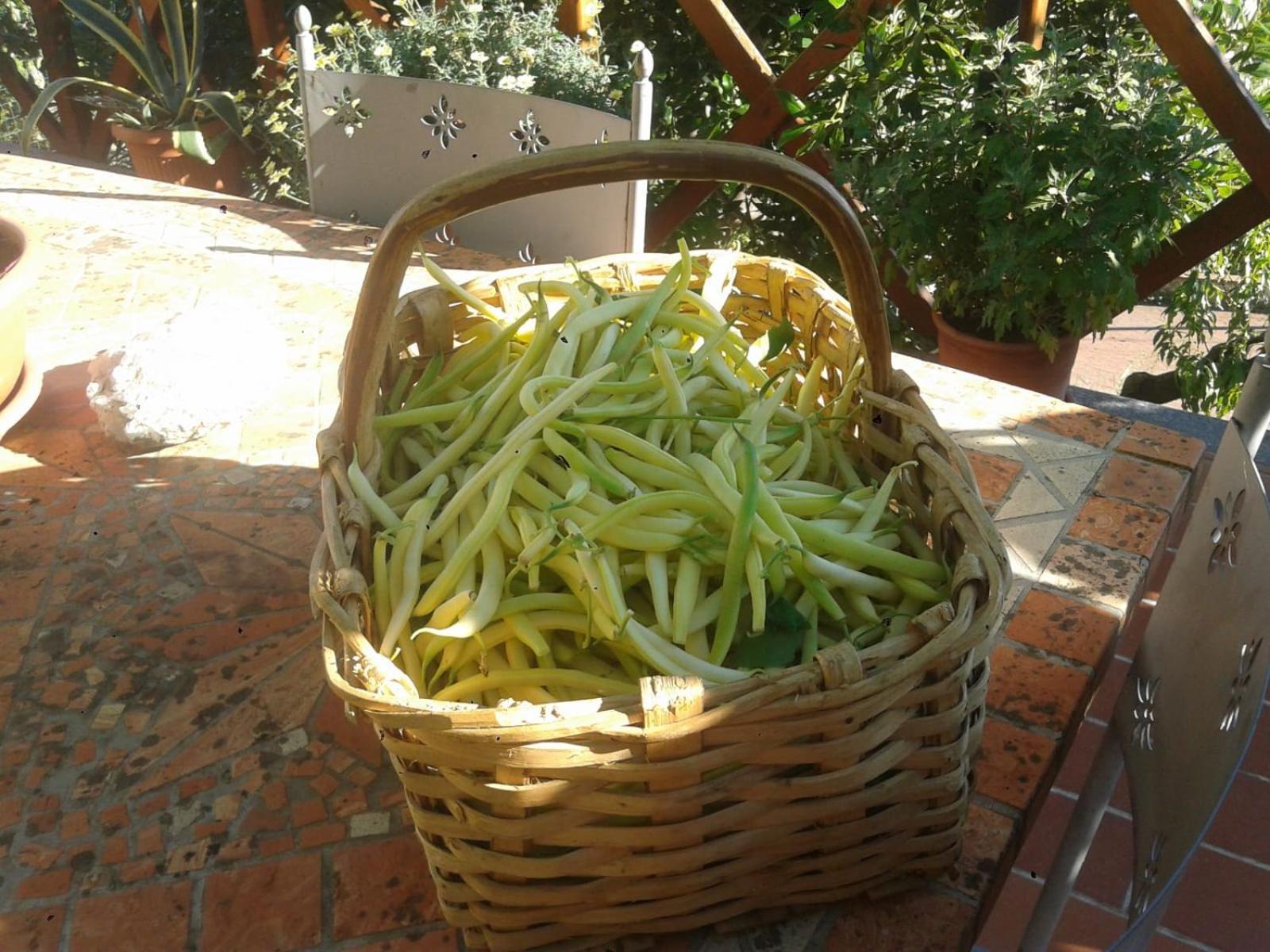 Agriturismo Caruggiu Di Via Vecchia اوركو فيغلينو المظهر الخارجي الصورة