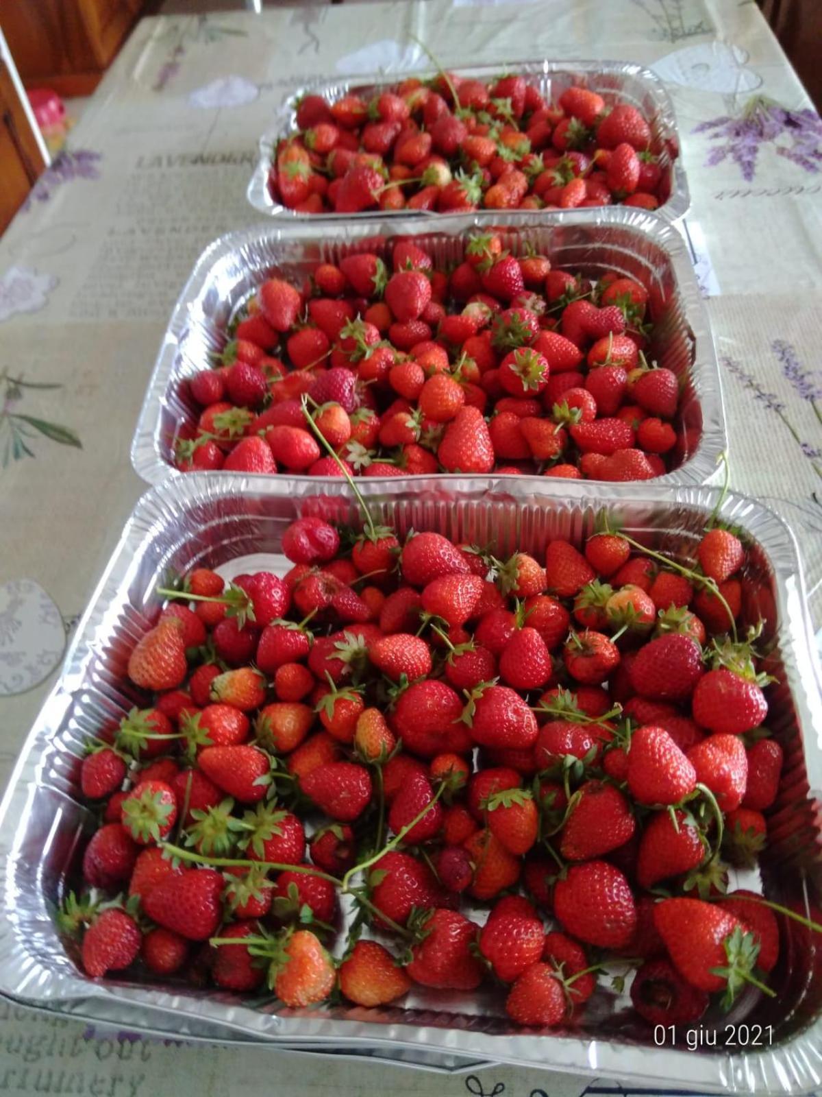 Agriturismo Caruggiu Di Via Vecchia اوركو فيغلينو المظهر الخارجي الصورة